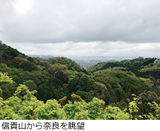 信貴様から奈良を眺望