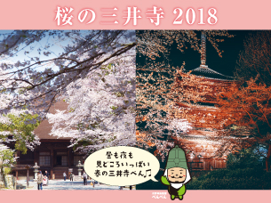 桜の三井寺バナー